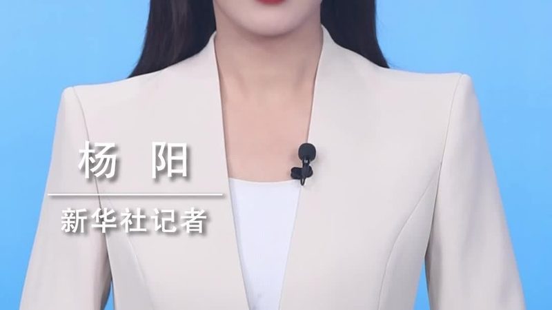 数据中台、数据仓库与关系型数据库：三者的关系与选择